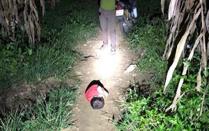 Có người nhận nuôi bé trai phải ngủ ngoài đường khi bố mất, mẹ đi lấy chồng khác