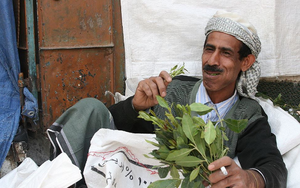 Những người Yemen chỉ ăn lá cây để tồn tại