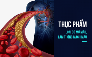 5 thực phẩm "phá hủy" mỡ máu: Mỗi ngày ăn 1 món để mạch máu thông suốt, trẻ hóa kỳ diệu