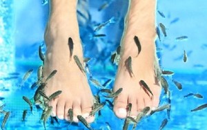 Người phụ nữ phải cắt cụt các ngón chân sau khi massage cá