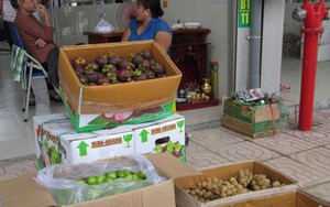 Việt Nam chi hơn 2.300 tỉ đồng mua rau quả từ Thái Lan trong tháng 8