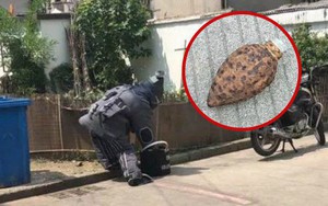 Bà tặng "quả bóng sắt" cho cháu chơi suốt 3 năm, khi biết chân tướng của nó, cả nhà toát mồ hôi hột không nghĩ mình may mắn đến thế