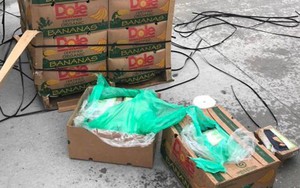 Nhà tù Mỹ được tặng thùng chuối chứa cocaine trị giá 18 triệu USD