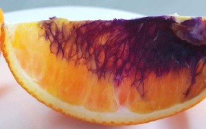 Còn nhớ miếng cam hóa tím bí ẩn này chứ? Cuối cùng chúng ta đã có câu trả lời rồi