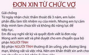 Chị em rộ trào lưu nhắn tin "từ chức vợ để chuyển sang bộ phận người tình" và đây là phản ứng của các anh chồng