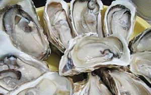Phát hiện hợp chất kỳ diệu trong con hàu, giúp kìm hãm bệnh ung thư