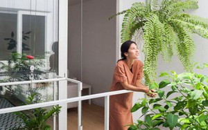 Ngôi nhà tràn ngập cây xanh của vợ chồng trẻ "gây sốt" trên báo Mỹ