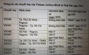 Vietnam Airlines và Jetstar Pacific phải điều chỉnh lịch bay do bão Trami