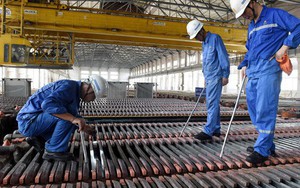 Lo chiến tranh thương mại, châu Á nỗ lực "chốt" RCEP