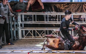 'Kung-fu đấu bò' trở lại Trung Quốc sau hàng thế kỷ dù bị chỉ trích tàn bạo