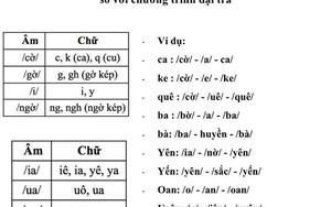 GS Ngô Bảo Châu chia sẻ trải nghiệm học đánh vần "lạ" theo Công nghệ Giáo dục