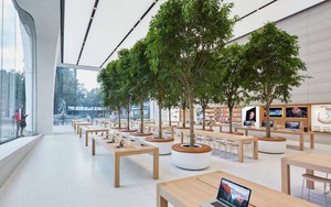 Bí mật khiến ai cũng phải bất ngờ về những chiếc bàn gỗ trong tất cả cửa hàng Apple Store