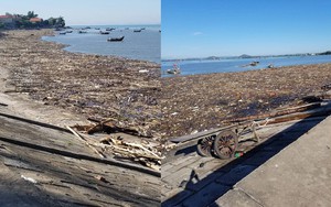 Bờ biển tràn ngập gỗ, củi và rác sau 1 đêm