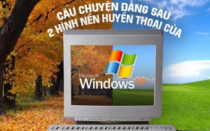 Câu chuyện trái ngang đằng sau 2 hình nền huyền thoại của Windows XP