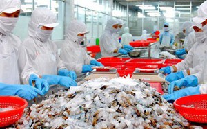Xuất khẩu thuỷ sản lập kỷ lục 8,3 tỷ USD