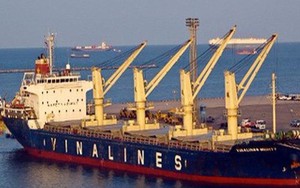 Giá trị thực tế của Vinalines là bao nhiêu?