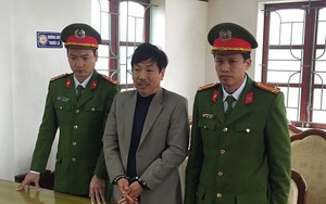 Bắt tạm giam giám đốc doanh nghiệp phá 41 ha rừng
