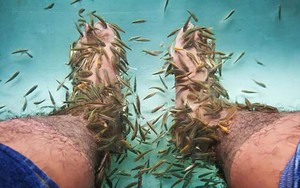 10 năm không rửa chân, vừa thả chân vào nước người đàn ông khiến cá chết hàng loạt