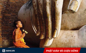 Vàng bạc đầy nhà nhưng vẫn bị bỏ rơi: Bài học đắt giá về "khẩu nghiệp"!