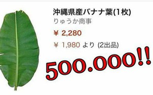 Lá chuối tươi đăng bán trên Amazon gần 500 nghìn 1 lá, mua 5 lá giảm giá còn 1 triệu 2