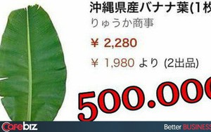 Lá chuối tươi đăng bán trên Amazon gần 500 nghìn 1 lá, mua 5 lá giảm giá còn 1 triệu 2