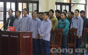 Xét xử 21 bị cáo trong vụ phá rừng pơmu chấn động ở Quảng Nam
