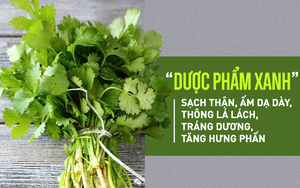 Tiết lộ loại rau thơm được xem là "dược phẩm xanh" làm sạch thận, ấm dạ dày, tráng dương