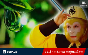 Trong "Tây Du Ký", tại sao chỉ có Bồ Tát mới cứu được cây nhân sâm bị Ngộ Không quật đổ?