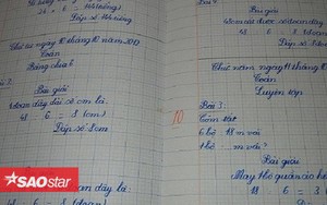 Chữ viết tay siêu đẹp của bé gái 8 tuổi người Việt gây xôn xao trên Reddit