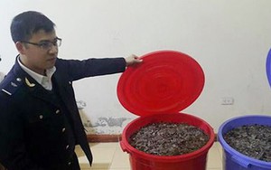 100kg vẩy tê tê giấu trong valy