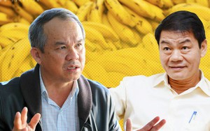 Sau khi bắt tay với bầu Đức, Thaco chính thức tuyển dụng sếp kinh doanh trái cây