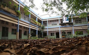 Ngôi trường tiểu học bỏ hoang gần 3 năm ở TP.HCM