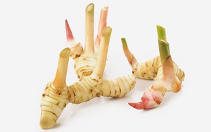 Củ riềng - Vị thuốc quý