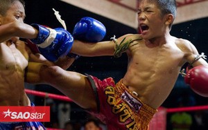 Cậu bé 13 tuổi chết gục trên sàn đấu Muay Thái thổi bùng làn sóng phẫn nộ