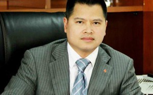Giá cổ phiếu VPB xuống đáy, ông Ngô Chí Dũng và mẹ đăng ký mua vào 21 triệu cổ phần