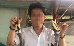 Nếu không ăn nhầm chim Phượng Hoàng Đất, doanh nhân có thể không bị xử lý hình sự