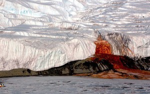 Tìm ra nguồn gốc của Thác Máu tại Nam Cực