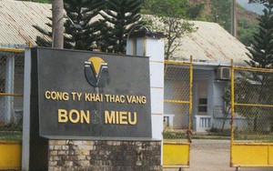 Vàng Bồng Miêu chính thức phá sản, để lại số nợ gần 1.000 tỉ đồng