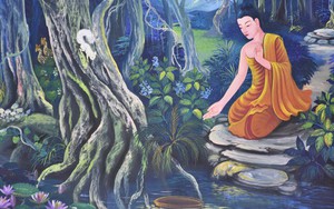 Hình ảnh khiến bạn bị thu hút nhất sẽ giúp bạn khám phá những điều sâu thẳm trong trái tim mình