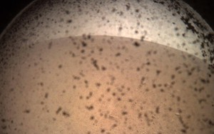 Hành trình 6 tháng nghẹt thở đặt chân xuống sao Hoả của tàu đổ bộ NASA