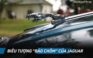 Đây là chi tiết không thể thiếu trên xe sang ở thế kỷ 20