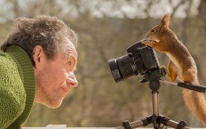 Theo chân loài sóc suốt 6 năm, nhiếp ảnh gia tạo nên bộ hình cực nghệ thuật về đời sống của chúng