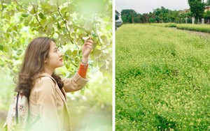 Trường ĐH duy nhất Việt Nam có vườn táo, vườn hoa cải được phép ăn tẹt ga, sống ảo cực chất chỉ với 15 nghìn