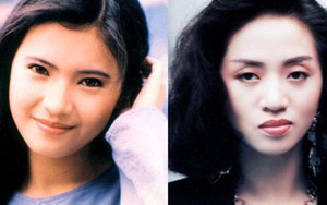 Mấy ai biết về 'Cửu Long Nữ' huyền thoại của Hong Kong: 9 người tài sắc vẹn toàn nhưng cuộc đời sau 2 thập kỷ lại lắm bi kịch