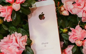 Đây là sai lầm lớn nhất Apple đã mắc phải trong năm qua với iPhone