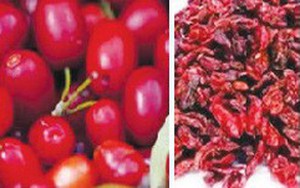Sơn thù du chữa nhiều bệnh “khó nói”