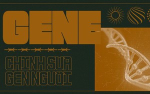 Chỉnh sửa gen người: Mọi con đường dẫn đến địa ngục đều được lát bằng những thiện ý