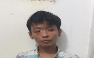 Băng trộm, cướp nhí ở Đồng Nai sa lưới