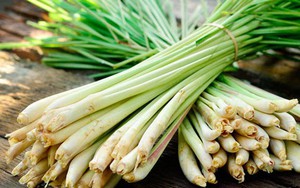 9 bài thuốc trị đau bụng do nhiễm lạnh