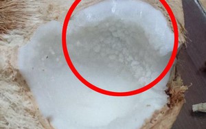 Bức ảnh tưởng bình thường bỗng trở thành "ngòi nổ chiến tranh" trong hội các bà nội trợ: Quả dừa này bị làm sao?